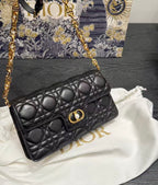 Dior Jolie WOC 21*12cm