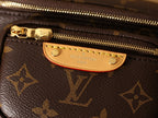 LV Monogram Mini Bumbag Bag