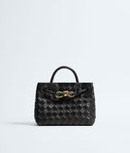 Bottega Veneta Mini Andiamo