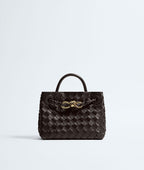 Bottega Veneta Mini Andiamo