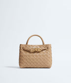 Bottega Veneta Mini Andiamo