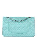 Chanel Medium Classic Double Flap Bag