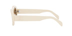 Celine Triomphe CL40194U Square