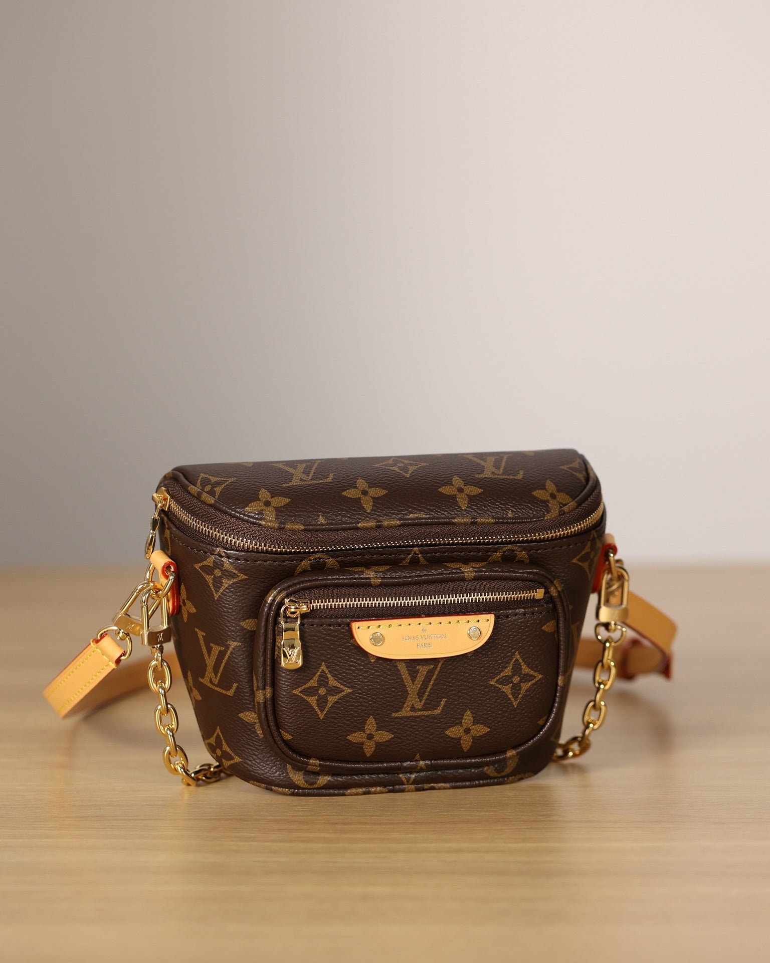 LV Monogram Mini Bumbag Bag