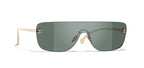 CHANEL 4293 Mixed