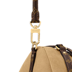 LV Express MM Bag