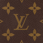 LV Multi Pochette Accessoires Bag