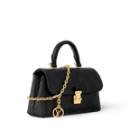 LV Nano Madeleine Bag